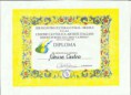/album/galeria-em-exposi%c3%a7%c3%a3o/diploma-jpg1/