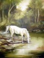 /album/galeria/cavalo-branco-jpg1/